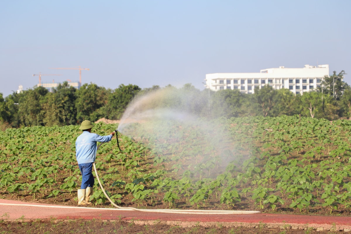 Smart Irrigation Techniques